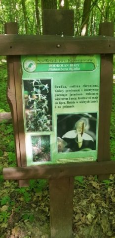 Przedsmak wakacyjnych przygód, czyli wycieczka do „Wodnego Dołu”.